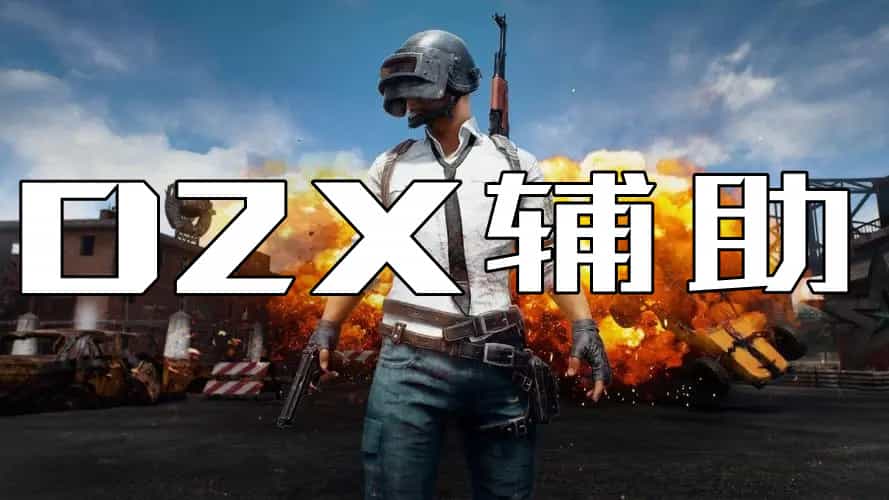 D2X辅助